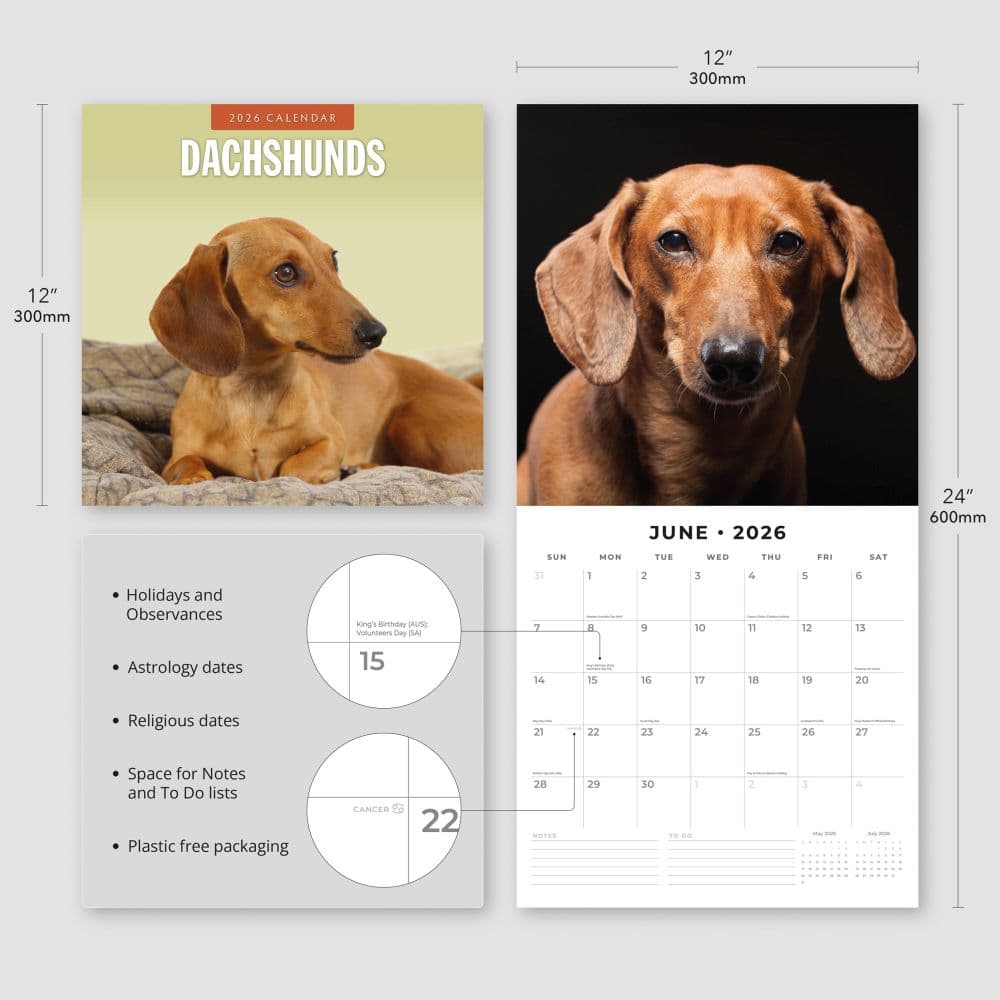 Dachshunds 2026 Wall Calendar Fourth Alternate Image