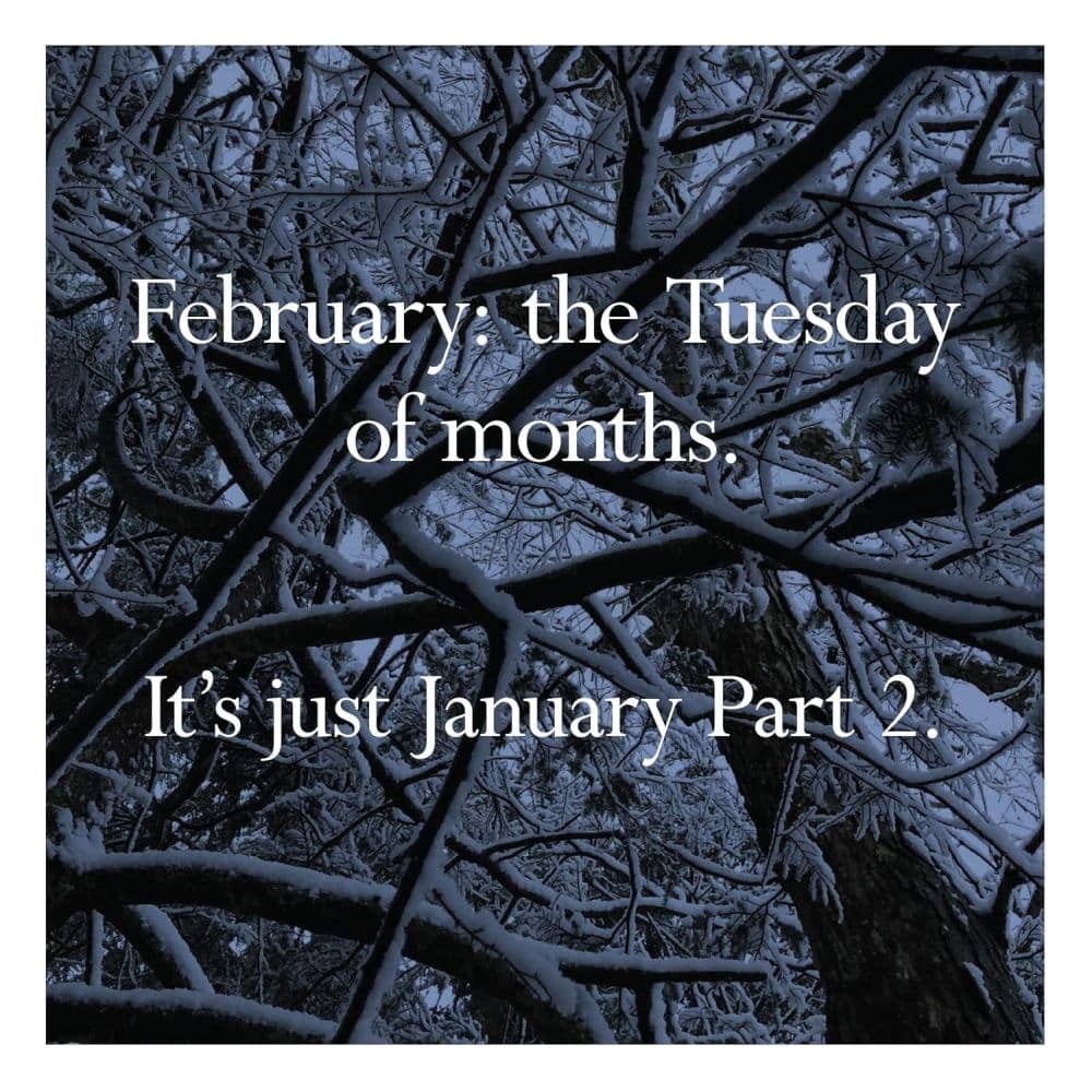 Disappointing Affirmations 2027 Wall Calendar Fifth Alternate Image