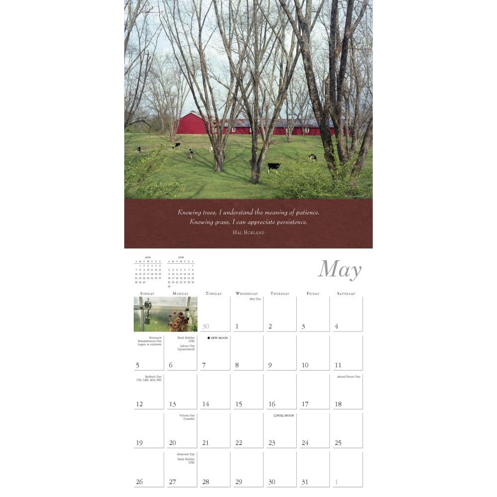 Simplicity 2024 Wall Calendar