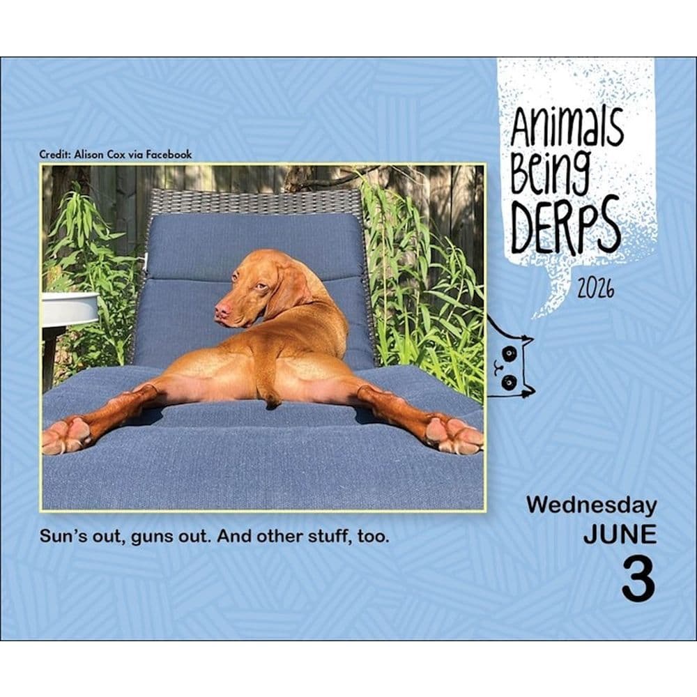 Animals Being Derps 2026 Desk Calendar Third Alternate Image