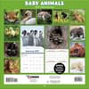 image Baby Animals Photo 2027 Wall Calendar