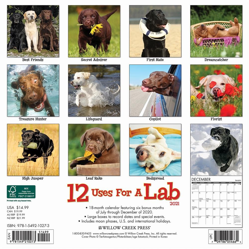 12 uses for a lab wall calendar calendarscom