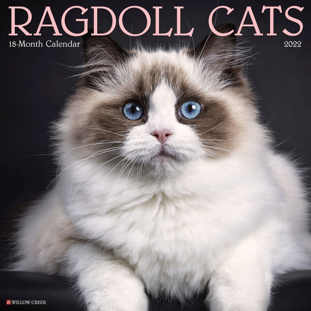 Cats Ragdoll 2022 Wall Calendar