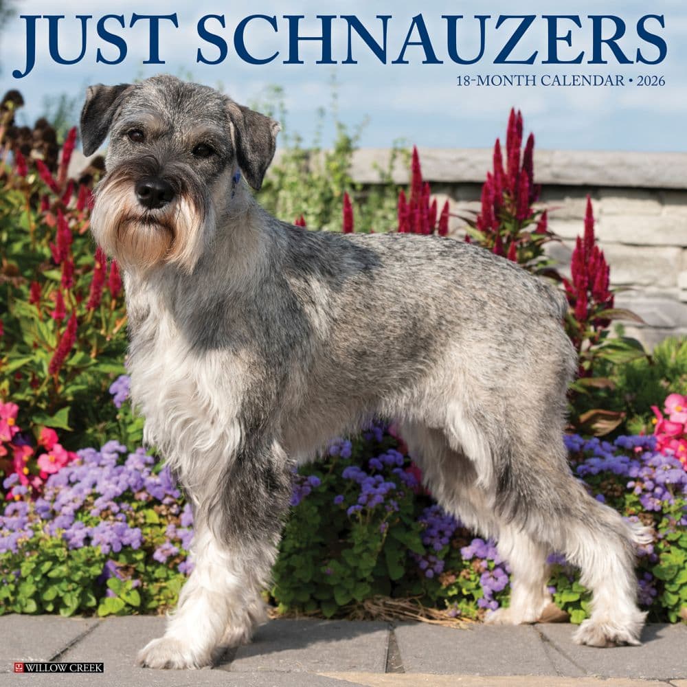 Just Schnauzers 2026 Wall Calendar Main Image