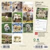 image Lab Yellow Puppies 2024 Mini Wall Calendar First Alternate Image width=&quot;1000&quot; height=&quot;1000&quot;