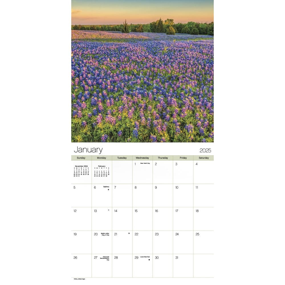 Texas Wildflowers 2025 Wall Calendar Alt2