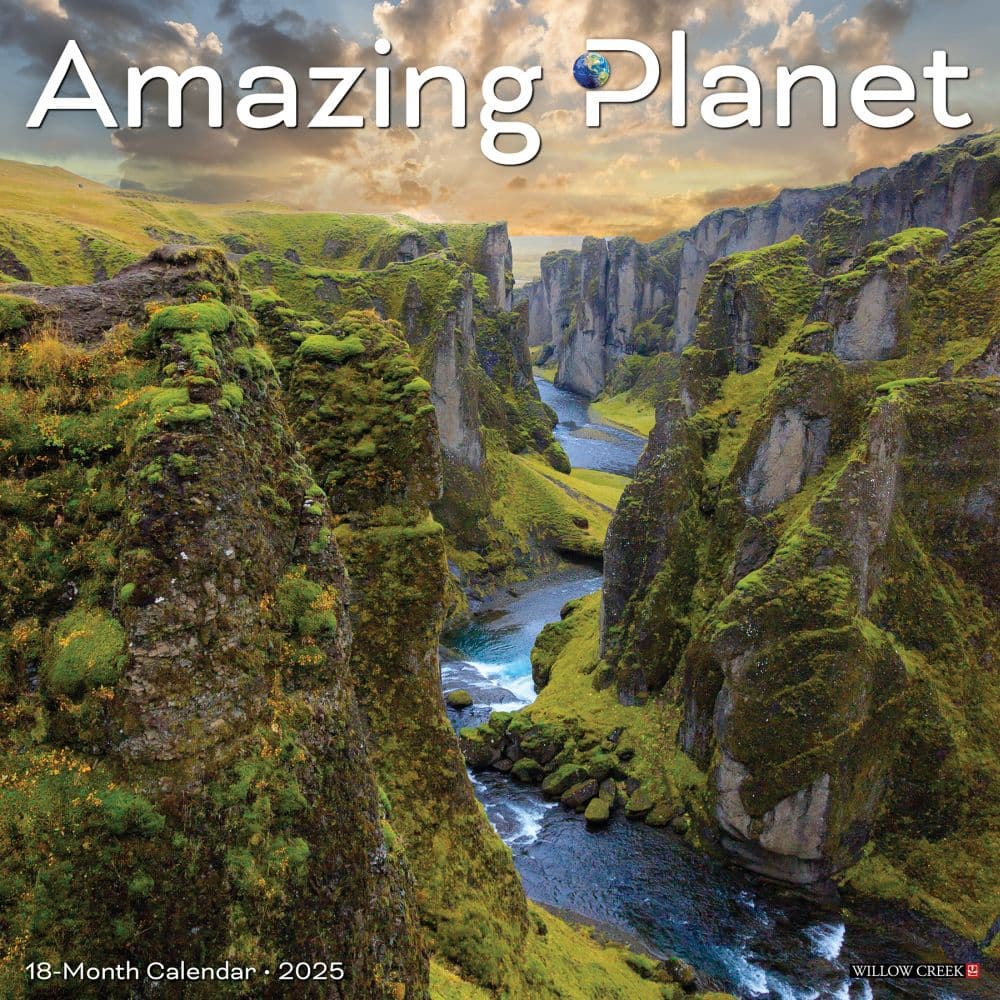 Amazing 2025 Wall Calendar