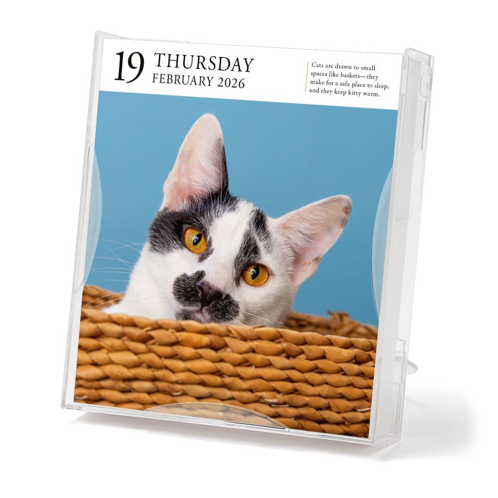 Cat Gallery 2026 Desk Calendar Second Alternate Image