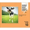 image Animals Being Derps 2025 Desk Calendar Second Alternate Image