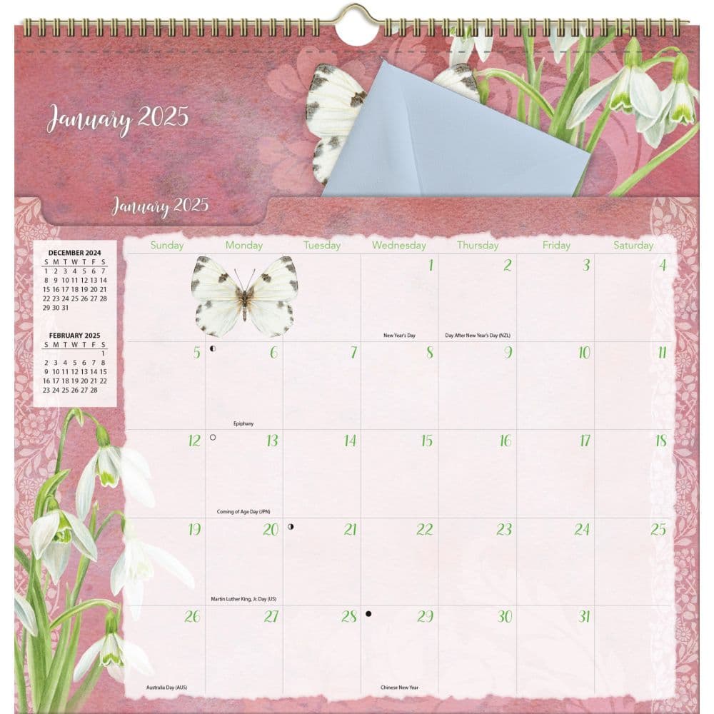 Butterflies by Jane Shasky 2025 File It Wall Calendar Second Alternate Image width="1000" height="1000"