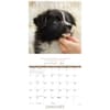 image So God Made a Dog 2025 Wall Calendar
