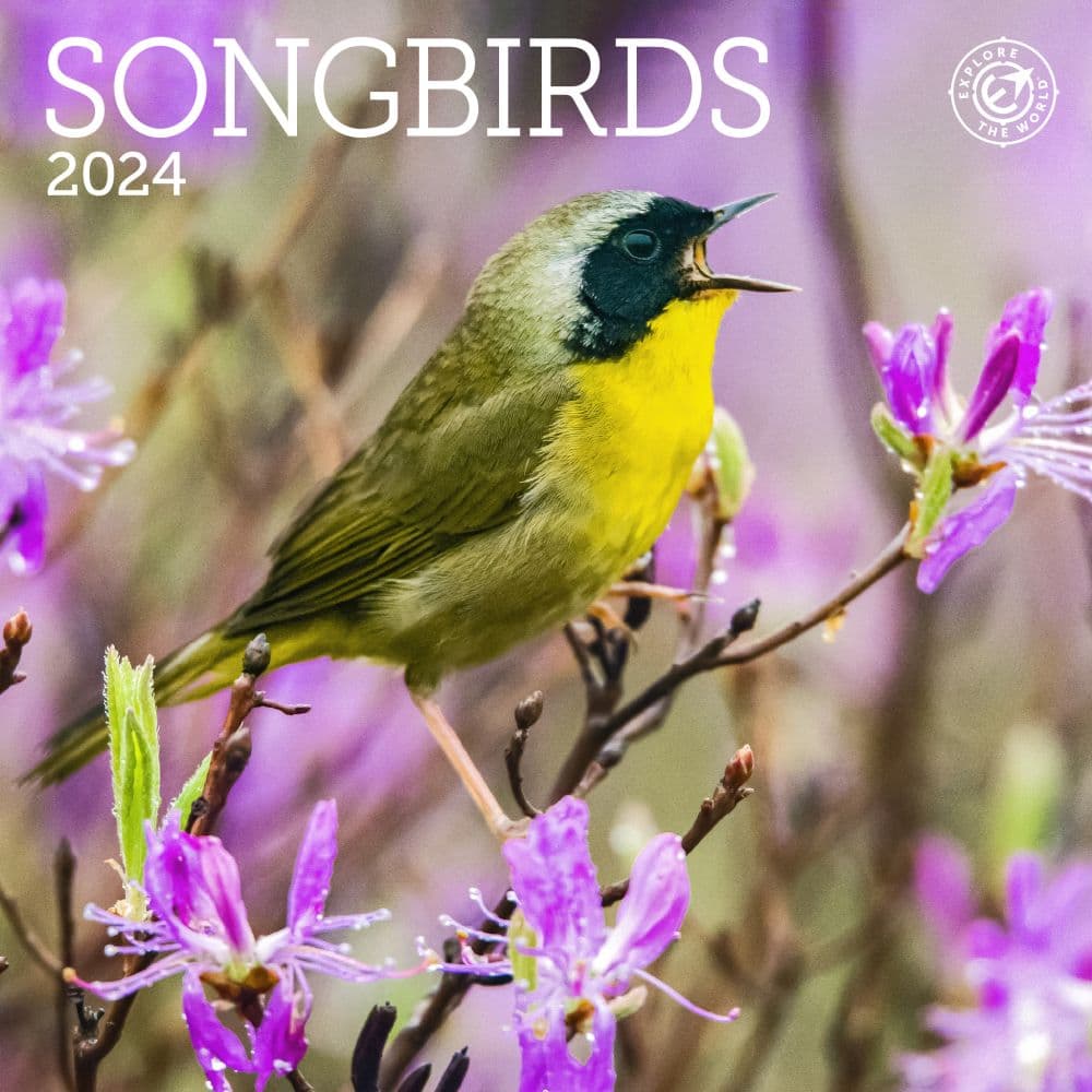 Songbirds 2024 Mini Wall Calendar