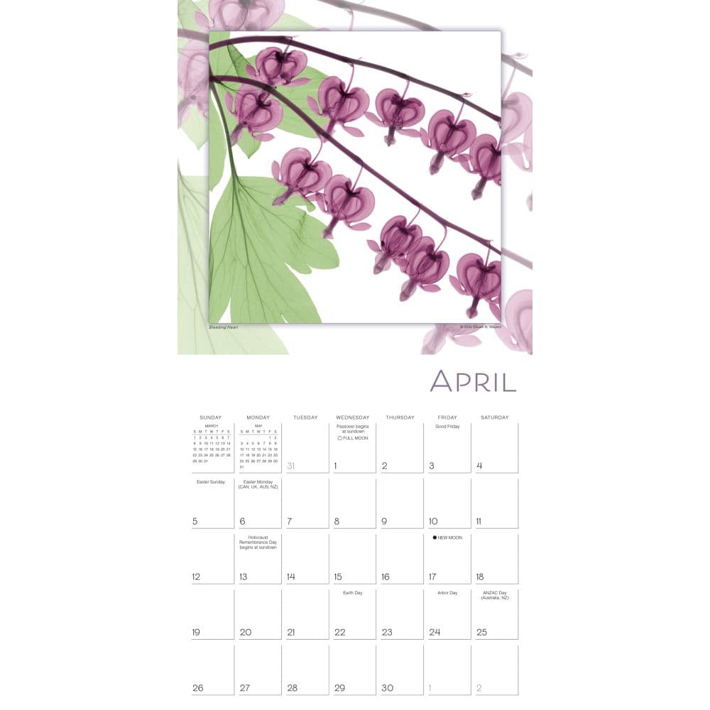 Flower Spirits 2026 Wall Calendar Second Alternate Image