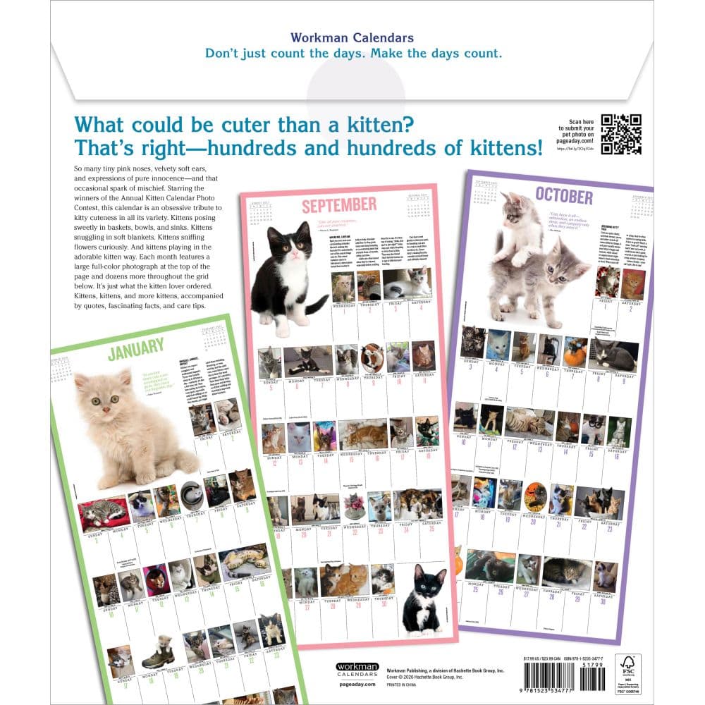 365 Kittens-A-Year Picture-A-Day 2027 Wall Calendar First Alternate Image