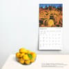 image Cascades 2025 Wall Calendar