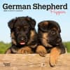 image German Shepherd Puppies 2024 Mini Wall Calendar Main Image