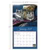 image Love of Cats by Persis Clayton Weirs 2025 Wall Calendar Sixth Alternate Image width=&quot;1000&quot; height=&quot;1000&quot;