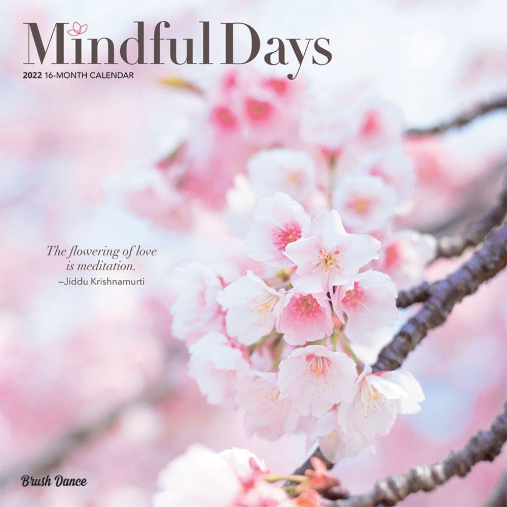 Mindful Days 2022 Wall Calendar