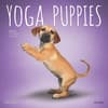 image Yoga Puppies Plato 2025 Wall Calendar Main Image