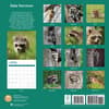 image Baby Raccoons 2025 Wall Calendar First Alternate Image width="1000" height="1000"