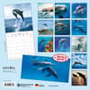 image Dolphins 2024 Wall Calendar (French) Alt1