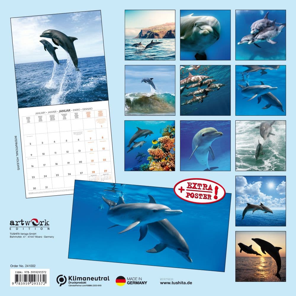Dolphins 2024 Wall Calendar (French) Alt1