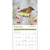 image Songbirds 2025 Mini Wall Calendar Second Alternate Image width="1000" height="1000"