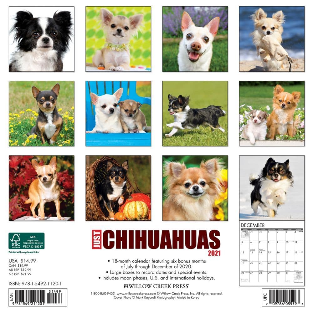 Chihuahuas Wall Calendar