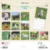 image Baby Goats 2025 Wall Calendar