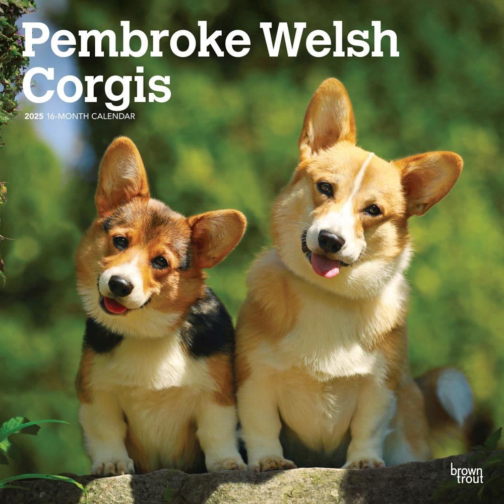 Welsh Pembroke 2025 Wall Calendar