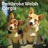 image Welsh Corgis Pembroke 2025 Wall Calendar Main Product Image width=&quot;1000&quot; height=&quot;1000&quot;