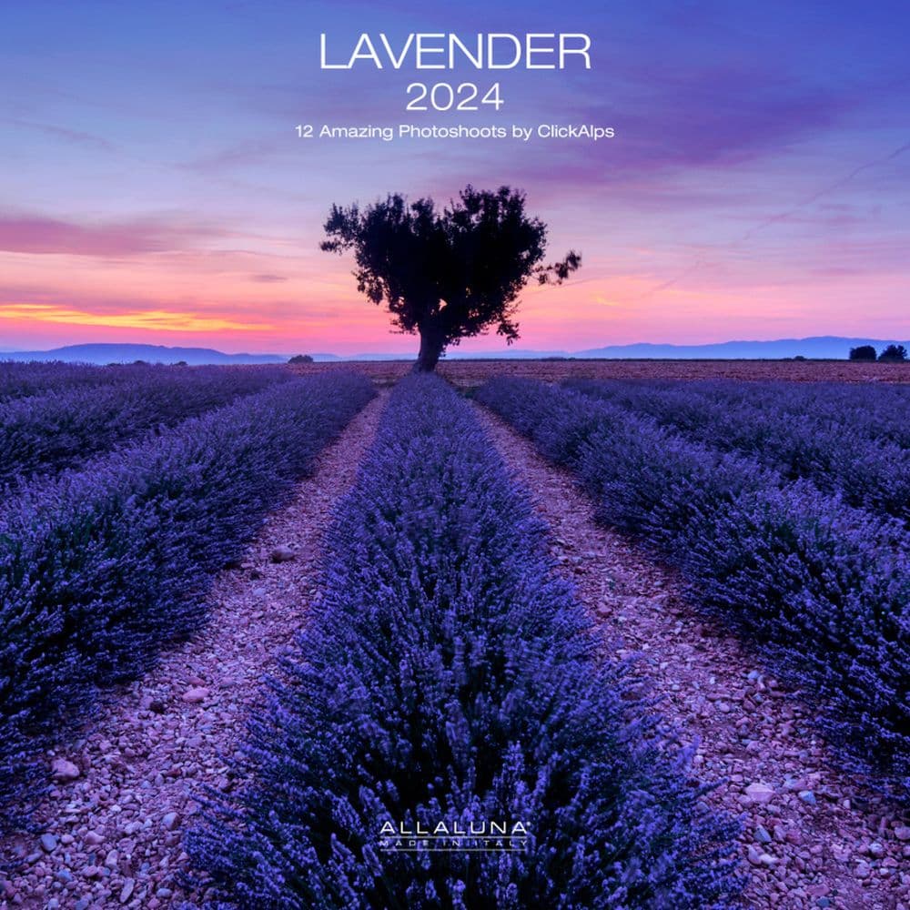 Lavender 2024 Wall Calendar Main Product Image width=&quot;1000&quot; height=&quot;1000&quot;
