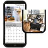 image Cat Chat 2025 Mini Wall Calendar