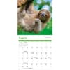 image Sloths 2026 Mini Wall Calendar Third Alternate Image