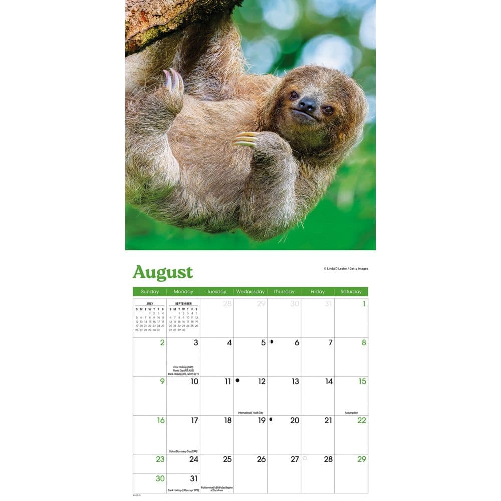 Sloths 2026 Mini Wall Calendar Third Alternate Image