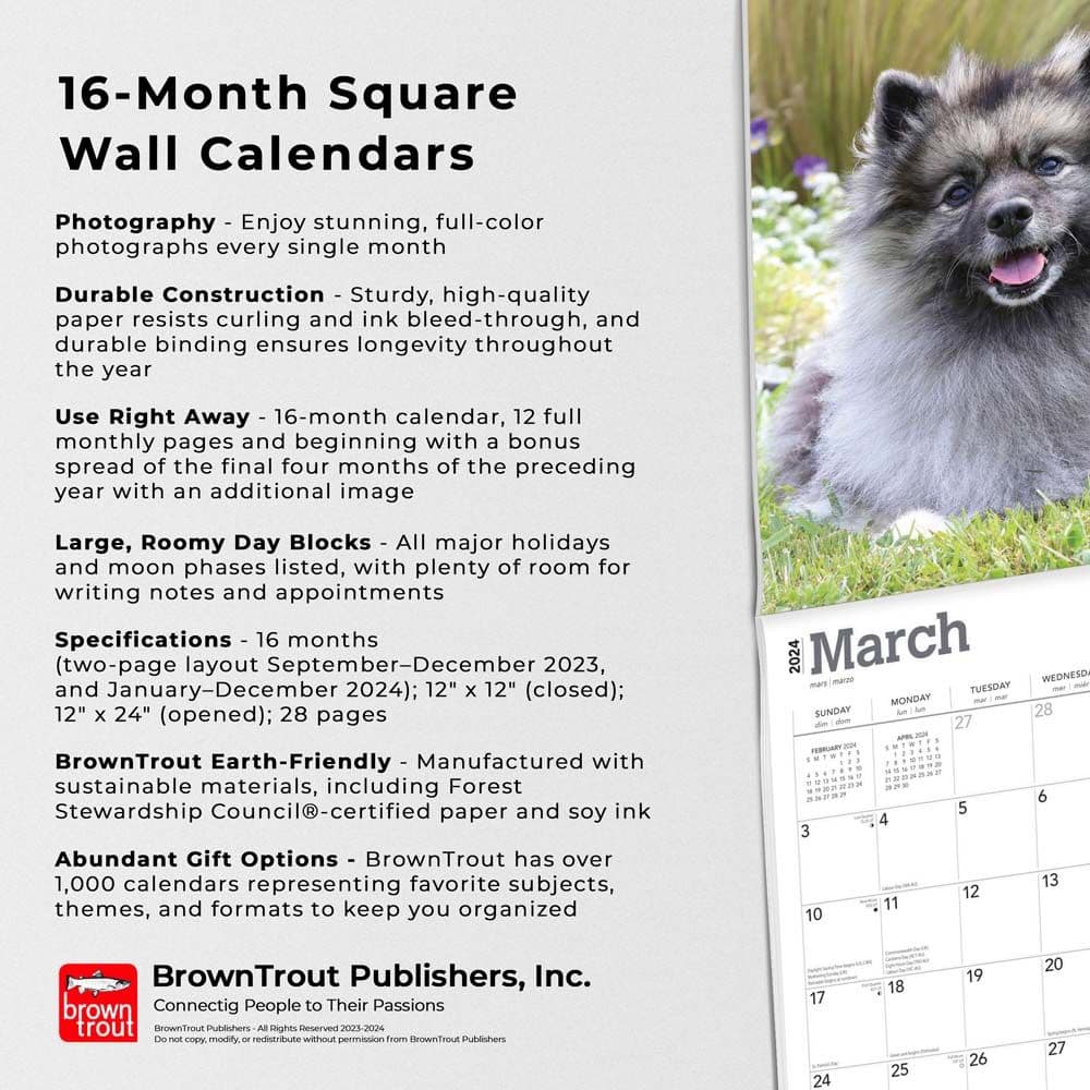 Keeshonden 2024 Wall Calendar