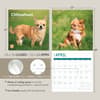 image Chihuahuas 2025 Wall Calendar Seventh Alternate Image