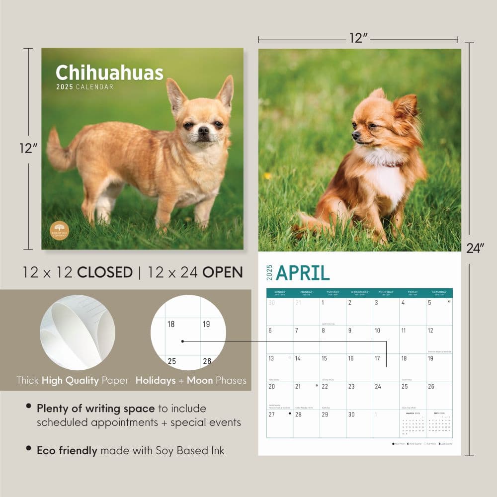 Chihuahuas 2025 Wall Calendar Seventh Alternate Image