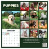 image Puppies 2025 Wall Calendar First Alternate Image