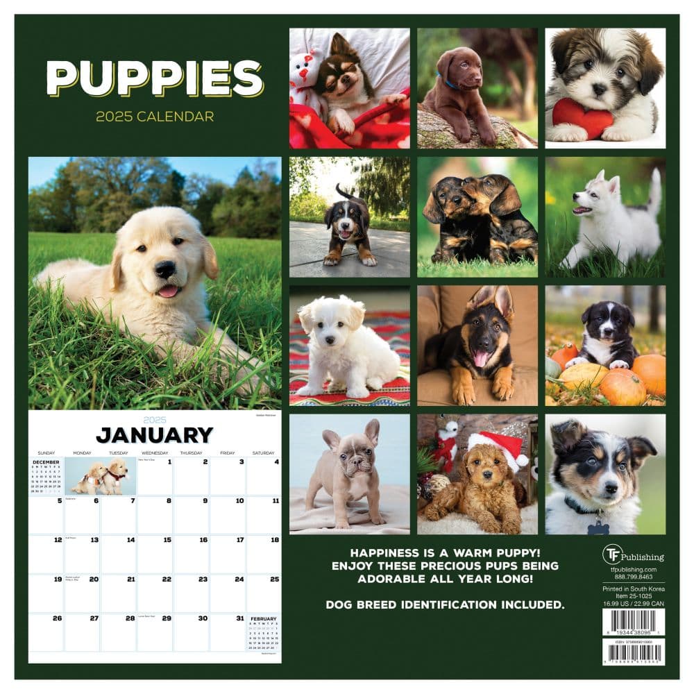 Puppies 2025 Wall Calendar First Alternate Image