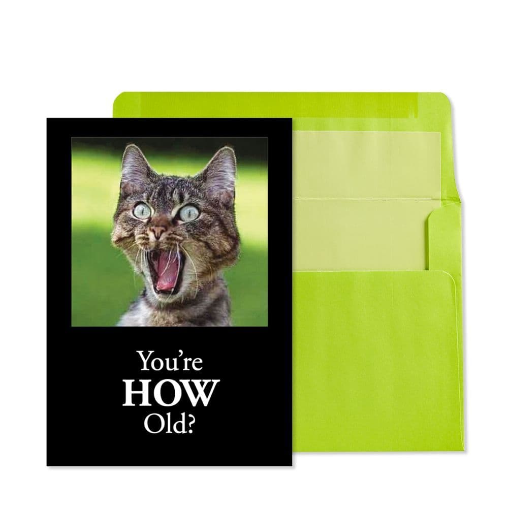 You're How Old Cat Birthday Card Main Product Image width="1000" height="1000"