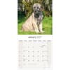 image Irish Wolfhound 2027 Wall Calendar Second Alternate Image
