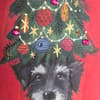 image Dog with Christmas 8 Count Boxed Tree Hat Christmas Cards