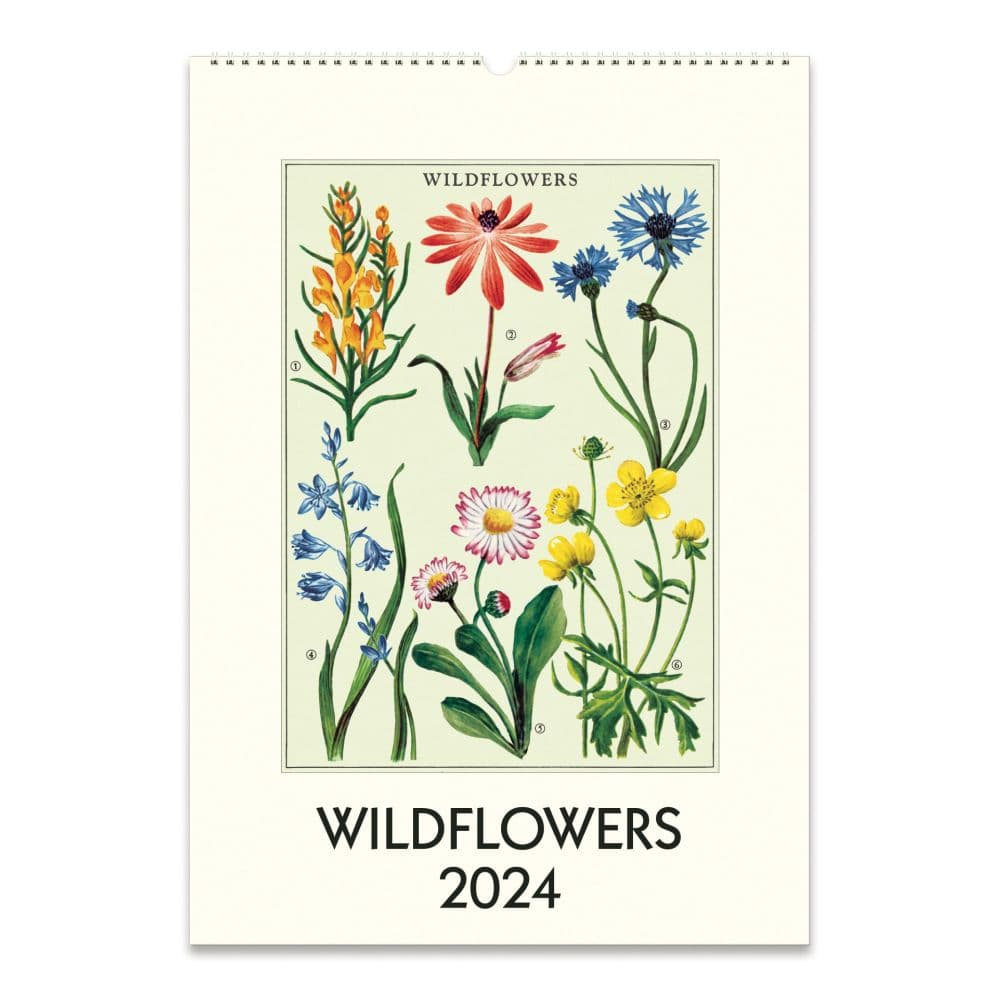 Wildflowers 2024 Poster Wall Calendar - Calendars.com