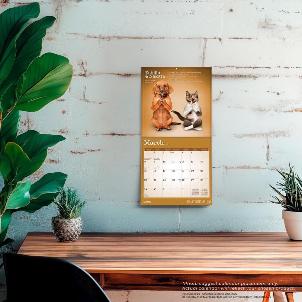 Yoga Puppies and Kittens 2026 Mini Wall Calendar Fourth Alternate Image