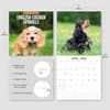 image English Cocker Spaniels 2026 Wall Calendar
