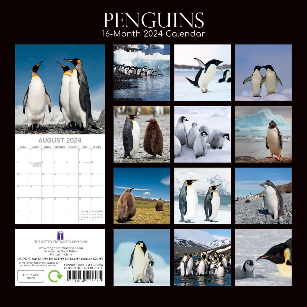 Penguins 2024 Wall Calendar