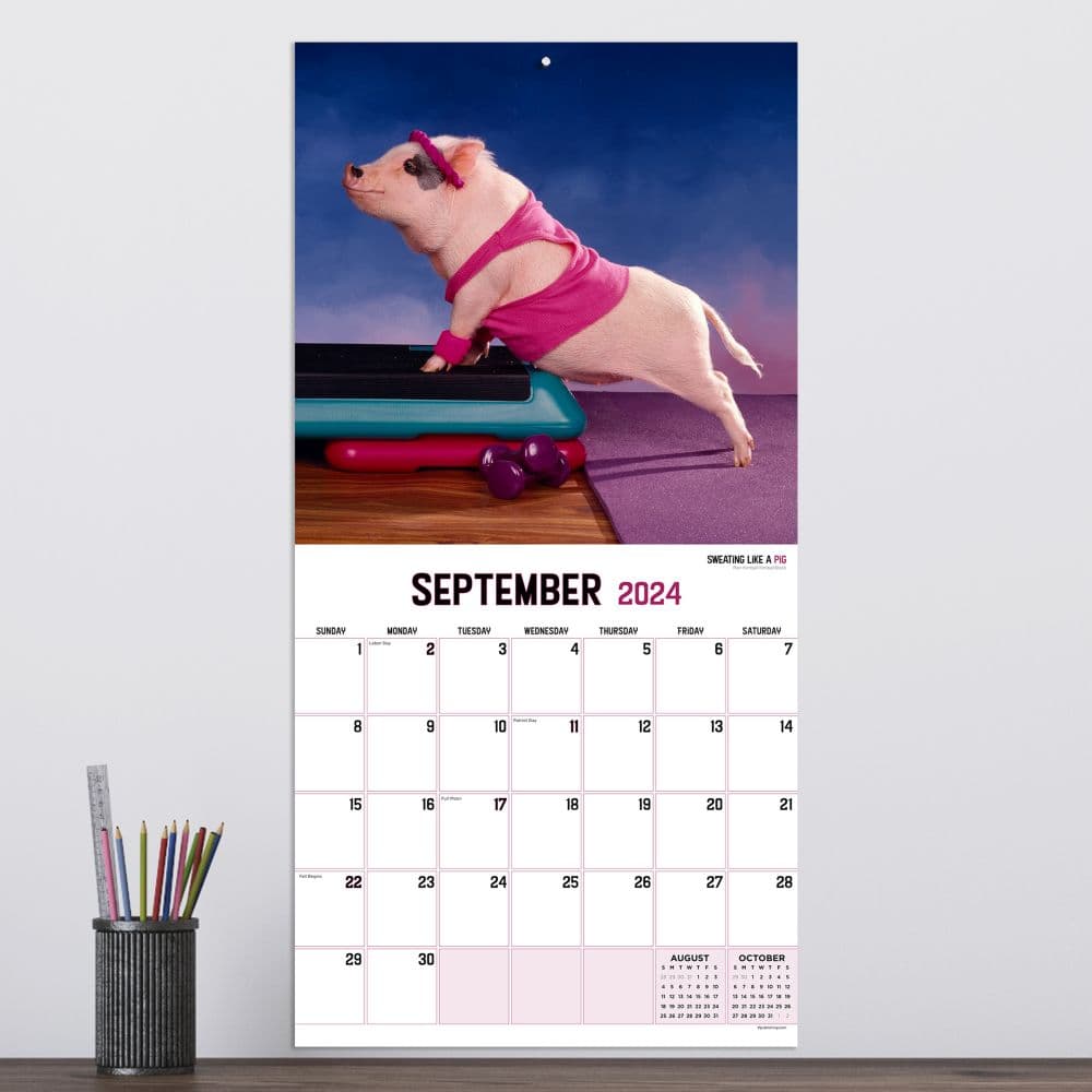 Playful Pigs 2024 Wall Calendar