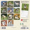 image Bulldogs 2024 Mini Wall Calendar First Alternate Image width=&quot;1000&quot; height=&quot;1000&quot;