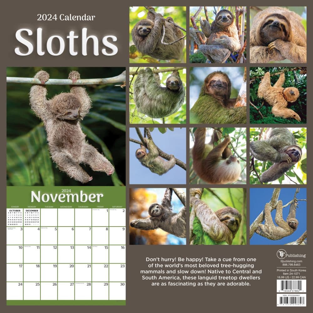 Sloths 2024 Wall Calendar